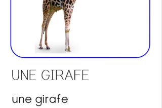 les animaux de la Savane : imagier MC en maternelle