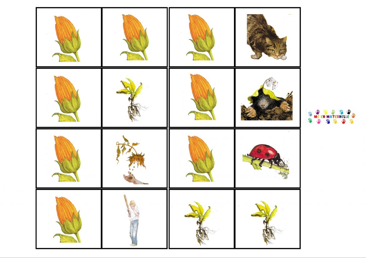 dix petites graines : dominos – MC en maternelle