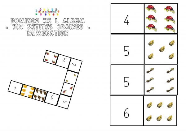 dix petites graines : dominos numération