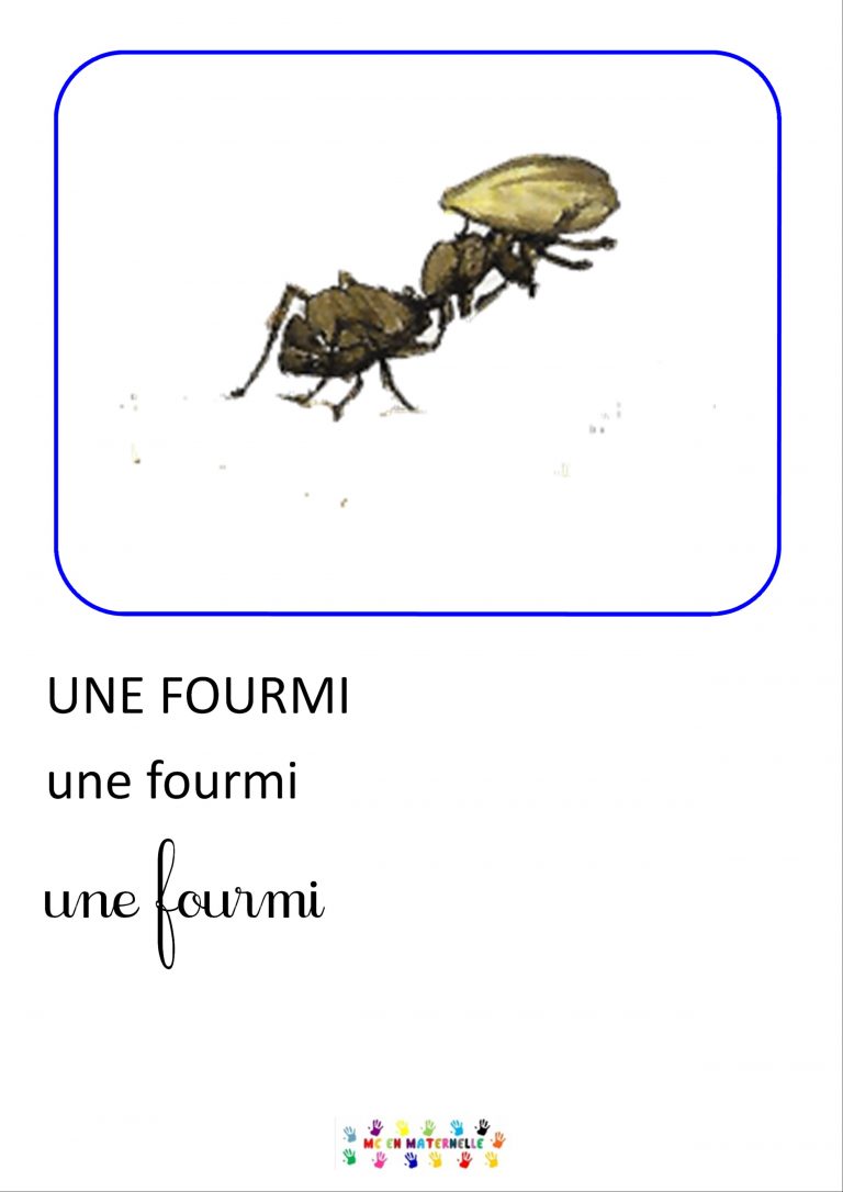 Dix petites graines : imagier – MC en maternelle