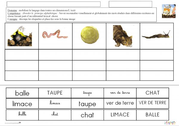 dix petites graines : associer des mots du lexique avec leurs écritures