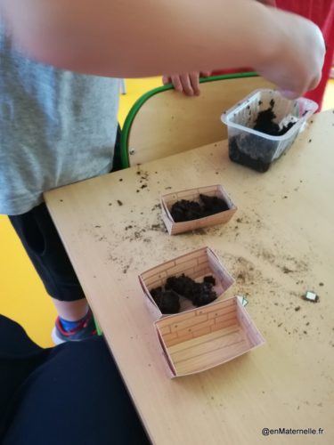 Atelier pour la maison sur les plantations