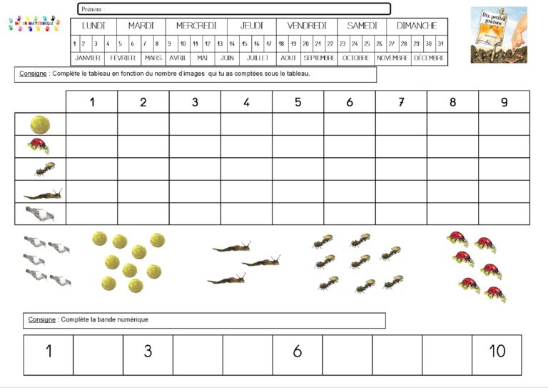 Dix petites graines : numération – MC en maternelle