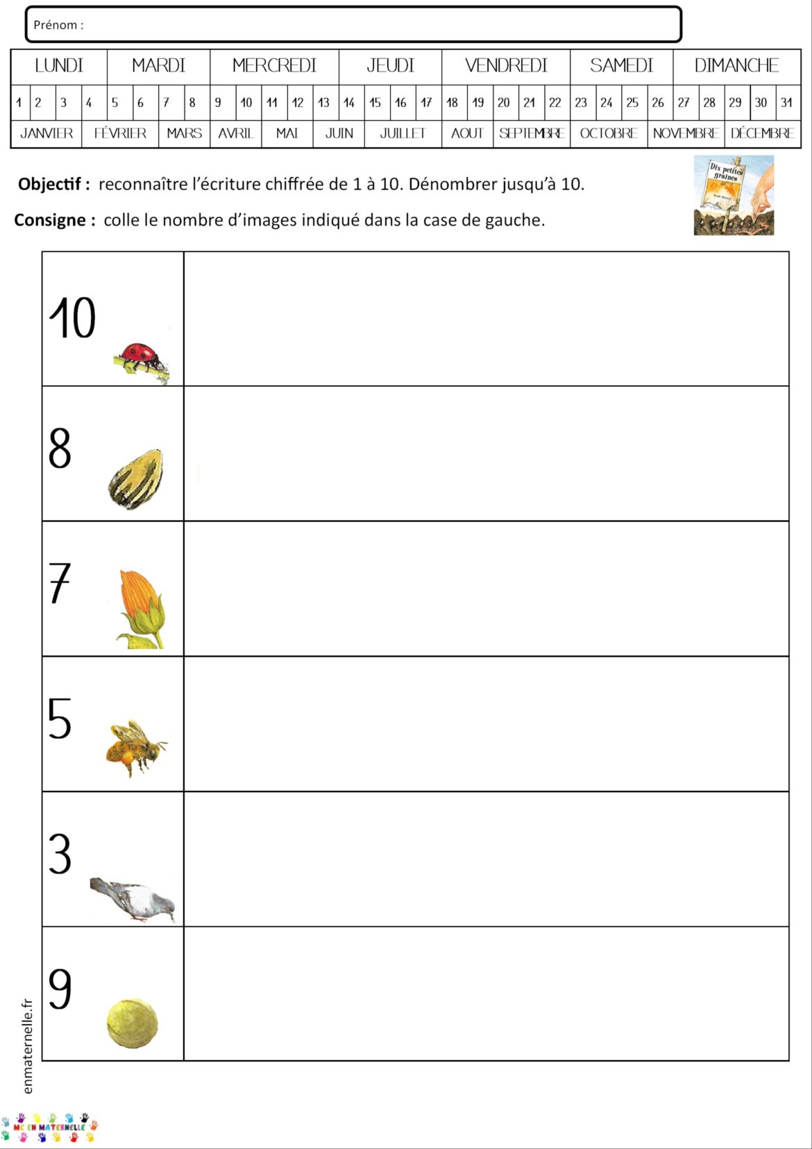 Dix petites graines : numération – MC en maternelle