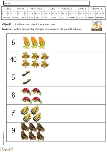 Dix petites graines : numération