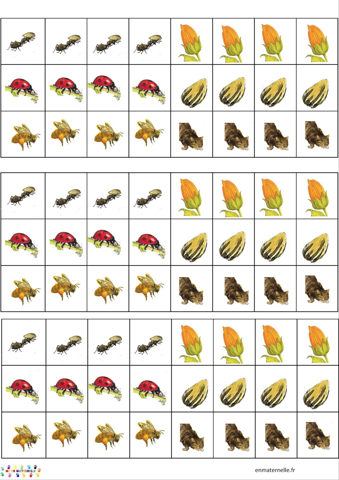 Dix petites graines : numération – MC en maternelle