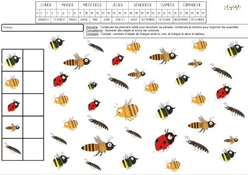 Les abeilles : cherche et compte