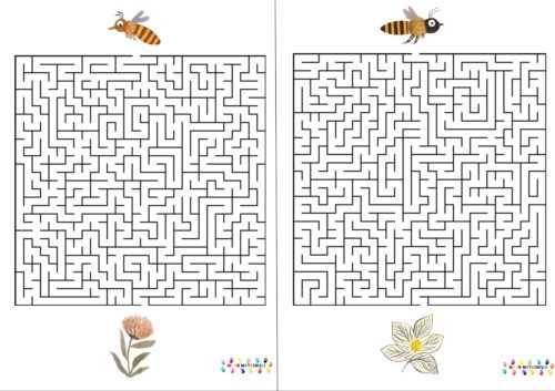 Les abeilles : labyrinthes