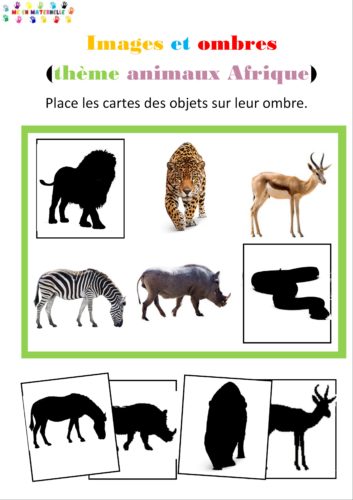 Zékéyé : les ombres sur les animaux d’Afrique