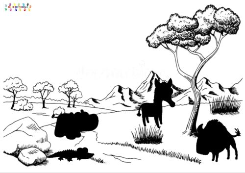 Afrique : les animaux dans la savane et leurs ombres