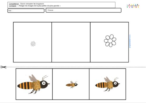 Les abeilles : tri par taille