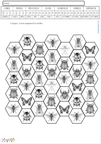 Les abeilles : trouver les abeilles et les colorier