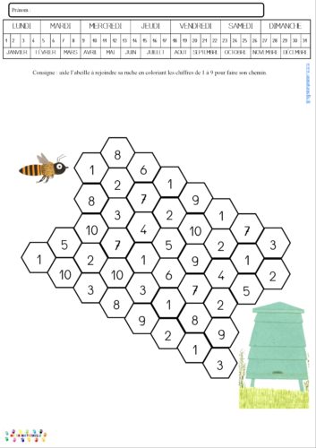 Les abeilles : chemin de 1 à 10 et de 1 à 19