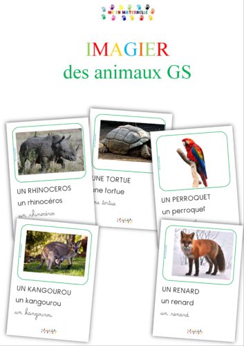 Imagiers pour petits, moyens et grands sur les animaux