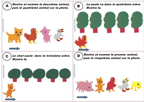 La petite poule rousse : position dans une image