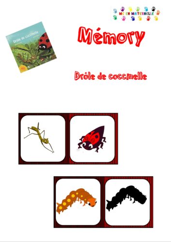 Drôle de coccinelle : mémory