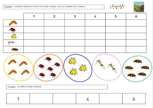 Drôle de coccinelle : numération