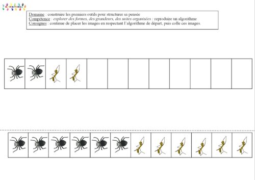 Drôle de coccinelle : algorithmes avec les insectes