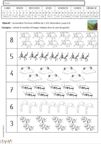 Drôle de coccinelle : dénombrement 6, 8 et 10