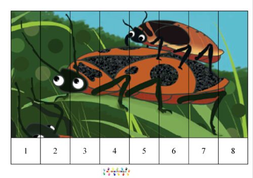 Drôle de coccinelle : puzzles numériques
