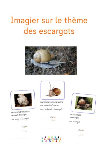 Imagier sur les escargots