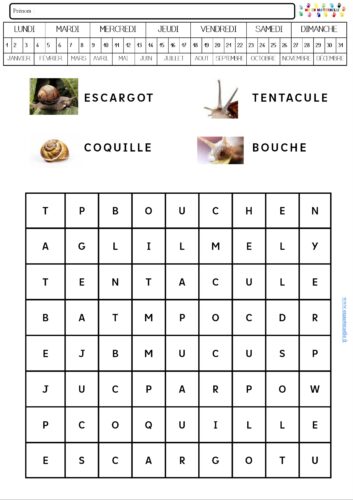 Les escargots : mots cachés